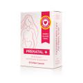 Prenatal